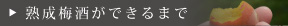 熟成梅酒ができるまで